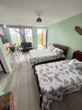 Chalet Mana